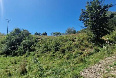 Spațiu comercial, în Vama - 1