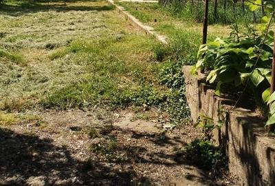 Teren intravilan, Burdujeni, T-7294 - 1