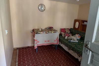 Casă cu 4 camere în Viișoara - 8