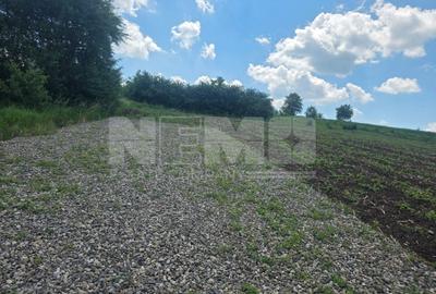 Teren Construcții intravilan de 2082 mp, în Sfântu Ilie - 6