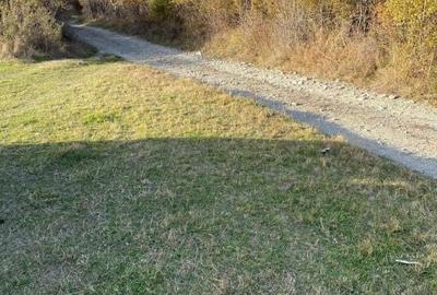 Teren de 972 mp, în Gura Râului - 9