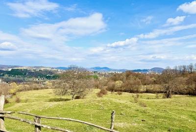 PROIECTUL TAU AICI / Poiana Campina / 8200 Mp/ Utilitati / Rasaritul Perfect - 6