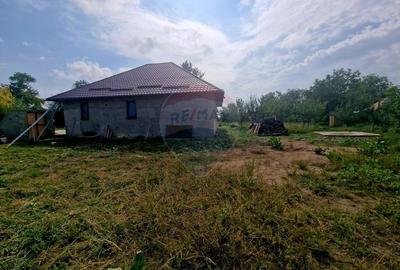 Oaza de liniste: casa cu livada si teren generos - Girov - 48