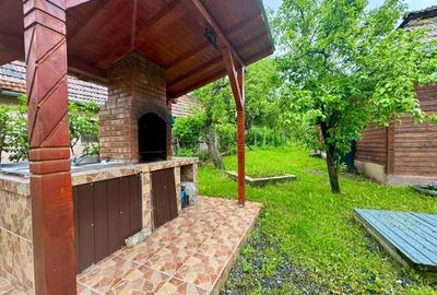 Casa individuala cu teren de 3823mp - 5