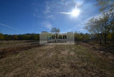 Snagov - Ciofliceni, Str Serban Cantacuzino 882 Mp, Asfalt, Utilitati Snagov - Ciofliceni, Str Serban Cantacuzino 882 Mp, Asfalt, Utilitati - 2