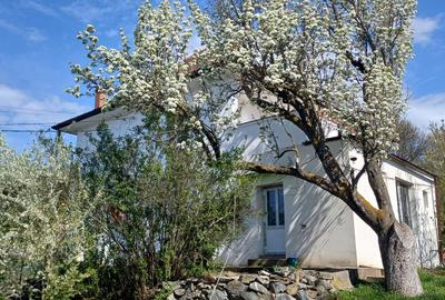 Casă cu 2 camere decomandat în Viile Sibiului - 3
