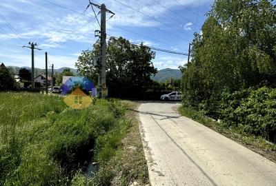 Teren Viisoara - comuna Alexandru cel Bun - 8