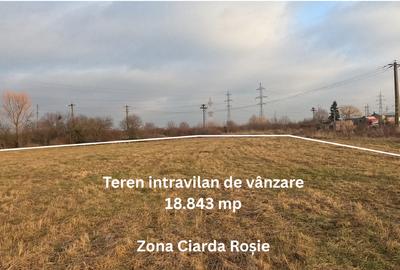 Teren intravilan de vânzare – Timișoara, zona Ciarda Roșie( Calea Buziașului) - 4