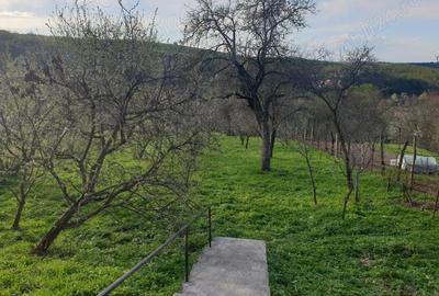 Casă cu 3 camere cu Teren 1850 Mp în Rod - 4