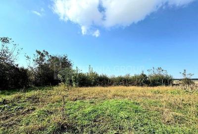 Livada+gradina, teren intravilan 2902mp, Damienesti-Bacau... - 7