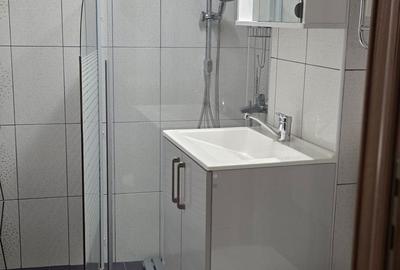 Apartament cu 2 camere semidecomandat în Cetate - 5
