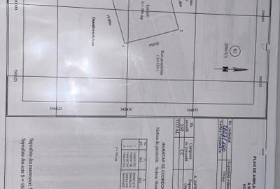 Vila premium cu finisaje de top, 396 mp teren, Balotesti , tripan - 11