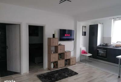 Apartament cu 2 camere în Valea Lupului - 3