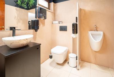 Vila Bld. Marasti Nr 10 | Demisol+Parter+Curte 350Mp | Kiseleff-Arcul De Triumf - 11