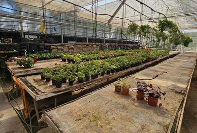 Spațiu comercial, de 400 mp, în Otopeni