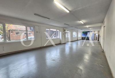 AX1157 Spatiu Industrial, B-dul 16 Decembrie, Activitati Productie - 1