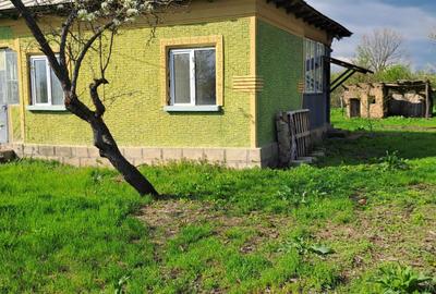 Casă cu 4 camere în Dracea - 3