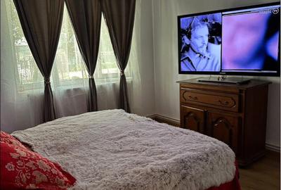 Apartament, 2 camere, renovat - 8