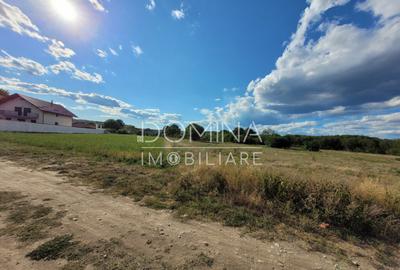 Teren de 2593 mp, în Debarcader - 2