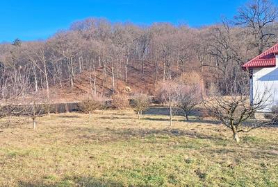 Propriete superbă la marginea pădurii în Râșnov Primăverii 5,000 mp - 25