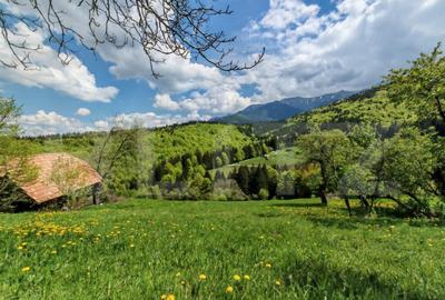 Teren intravilan 3400 mp, in Balaban - Simon, Bran - Brasov - 6