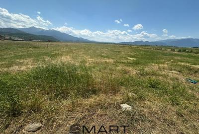 Teren Intravilan Rasnov 7.500 mp - 4