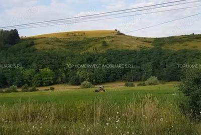 Exclusivitate! Teren intravilan in Luna de sus! - 2