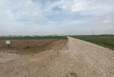 Teren de 300 mp in Berceni, Plan de Plata Flexibil - 2