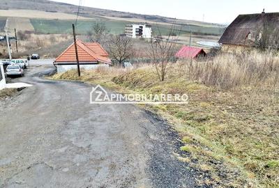 Teren 1.175 mp. 36 m. deschidere, zona Unirii  Targu Mures - 6