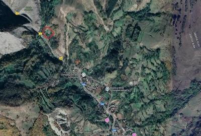 Teren de 5000 mp, în Runc (Ocoliș) - 1