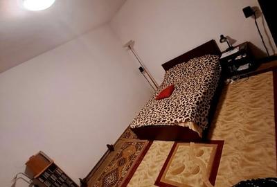 Duplex cu 6 camere cu Teren 245 Mp în Brestei - 11