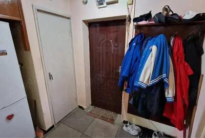 Dambu Pietros - Vanzare apartament 3 camere - Str. Godeanu - 7