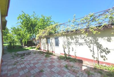 Casa Letea - 17