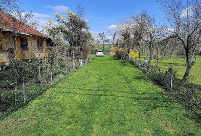 Casă cu 3 camere cu Teren 6100 Mp în Constantinești - 7