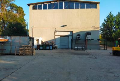 Inchiriere spatiu industrial  zona Centura Bucuresti Greenfield - 14