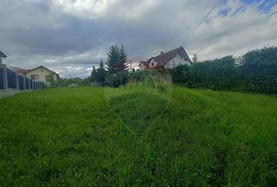 Teren de 613 mp, în Sadu - 6