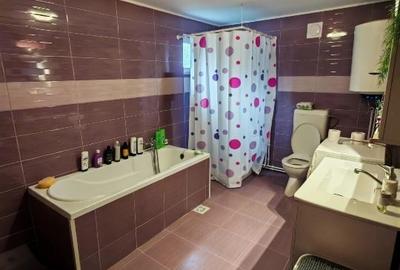 Casă individuală cu 4 camere cu Teren 12000 Mp în Rapoltu Mare - 4