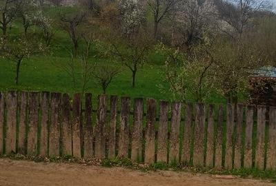 Spațiu comercial, în Oituz - 4