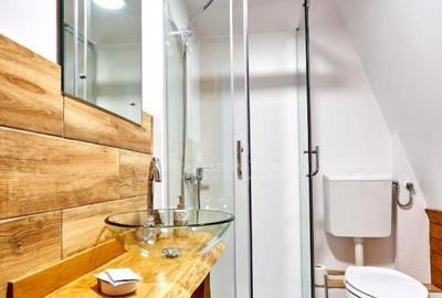 Pensiune traditionala cu clientela formata, Viseu de Sus, Ma - 3