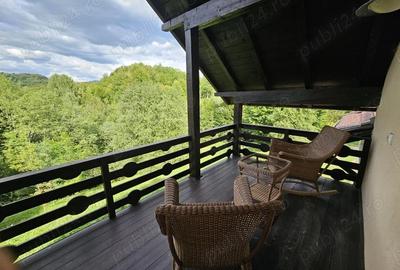 Casă cu 5 camere cu Teren 6842 Mp în Brădetu - 14