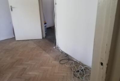 Tomis nord  - filicori - 7
