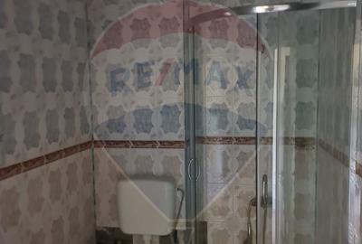 Spațiu comercial, de 1,650 mp, în Baia de Fier - 20