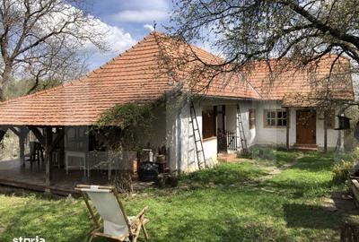 Casă cu 3 camere cu Teren 3198 Mp în Zălan - 5