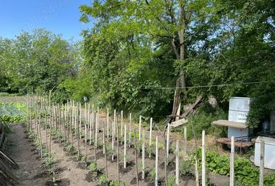 Casa batraneasca + Teren 1430mp, sat Mihai Viteazu, com. V.Tepes, jud. Calarasi - 5