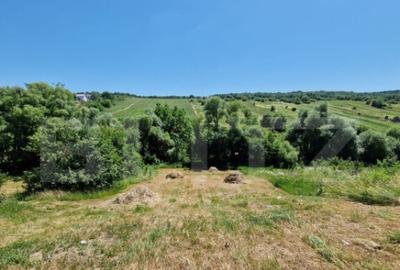 Teren intravilan, ideal constructie casa, 12 ari in zona Va - 4