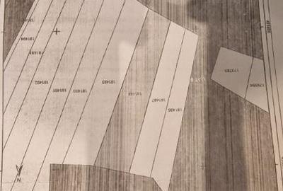 Teren intravilan Poiana Mica - 2