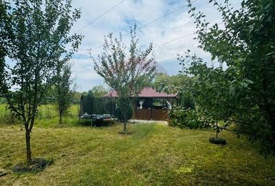 Teren Drumul Buzdului cu o cabana mica - 4