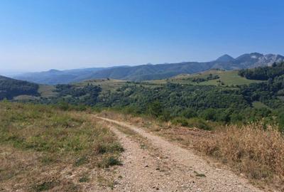 Spațiu comercial, în Râmeț - 4