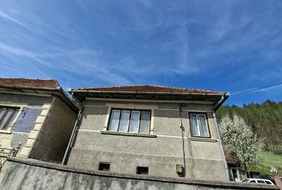 Casă cu 3 camere decomandat cu Teren 2000 Mp în Viștea - 5