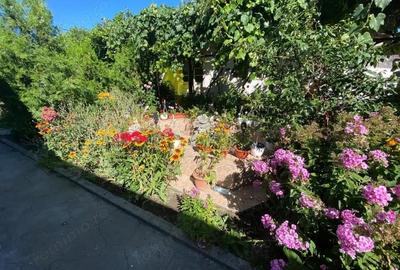 Vanzare proprietate cu 2 case individuale in com. Dragu?e?ti, sat Cirbe?ti - 9